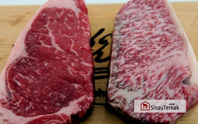 cara membedakan kualitas daging sapi sinauternak