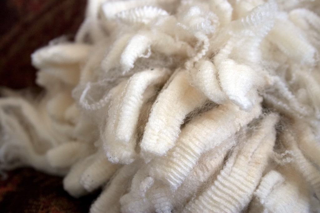 merino wool dari new zealand