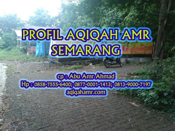 2. Aqiqah AMR Semarang