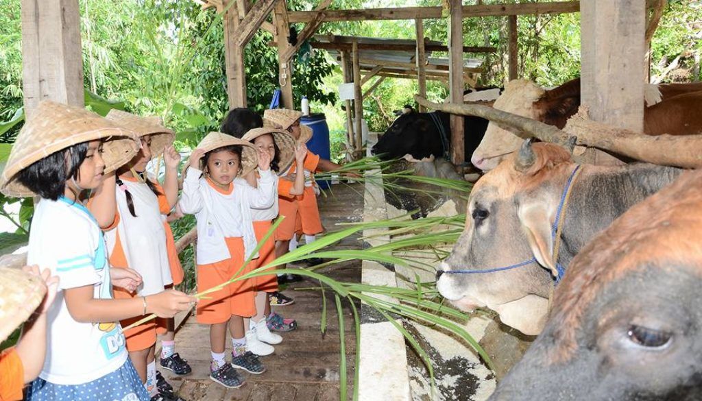 wisata peternakan dapat menjadi alternatif dalam pengembangan sektor peternakan di Indonesia