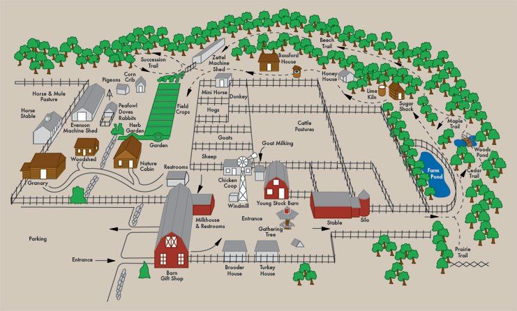 layout kompleks peternakan sapi perah