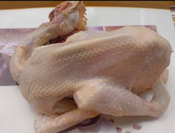 suplier daging ayam malang