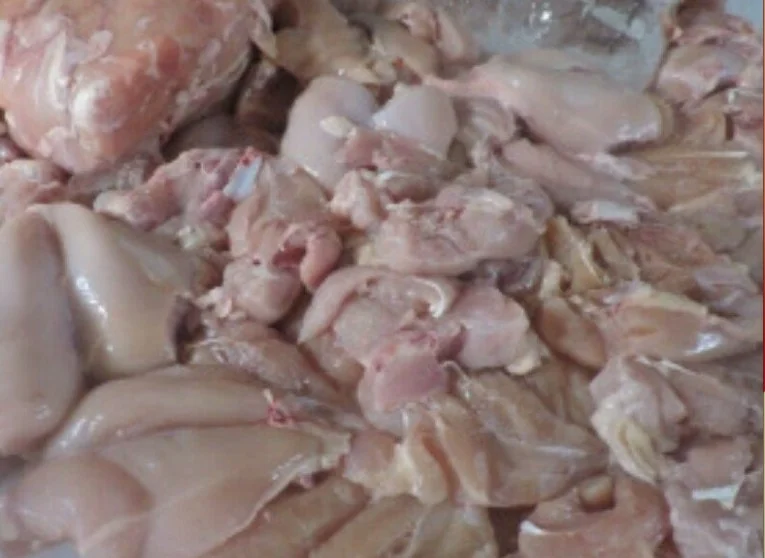 suplier daging ayam malang