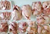 supplier daging ayam semarang