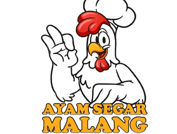 suplier daging ayam malang