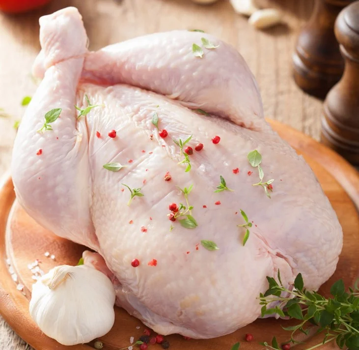 suplier daging ayam malang