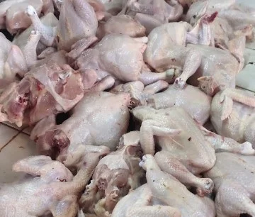 supplier daging ayam tangerang