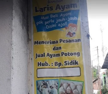 supplier daging ayam semarang