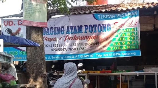 supplier daging ayam semarang