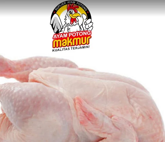 supplier daging ayam tangerang