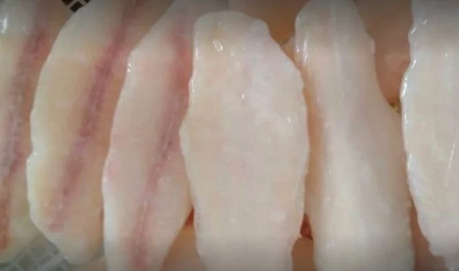 supplier daging ayam tangerang