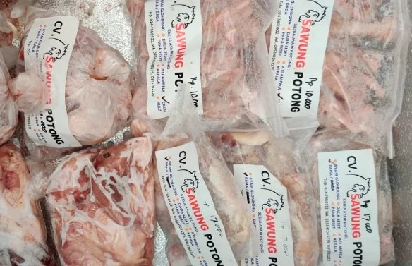 supplier daging ayam semarang