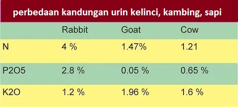 tabel perbandingan kandungan dari urin kelinci sapi dan kambing.